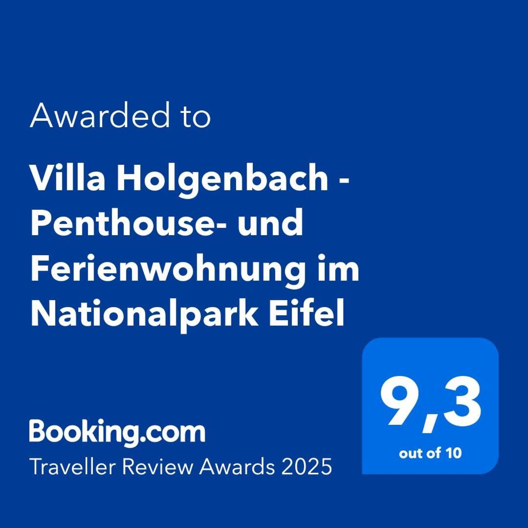 Villa Holgenbach - Penthouse- Und Ferienwohnung Im Nationalpark Eifel Schleiden Zewnętrze zdjęcie