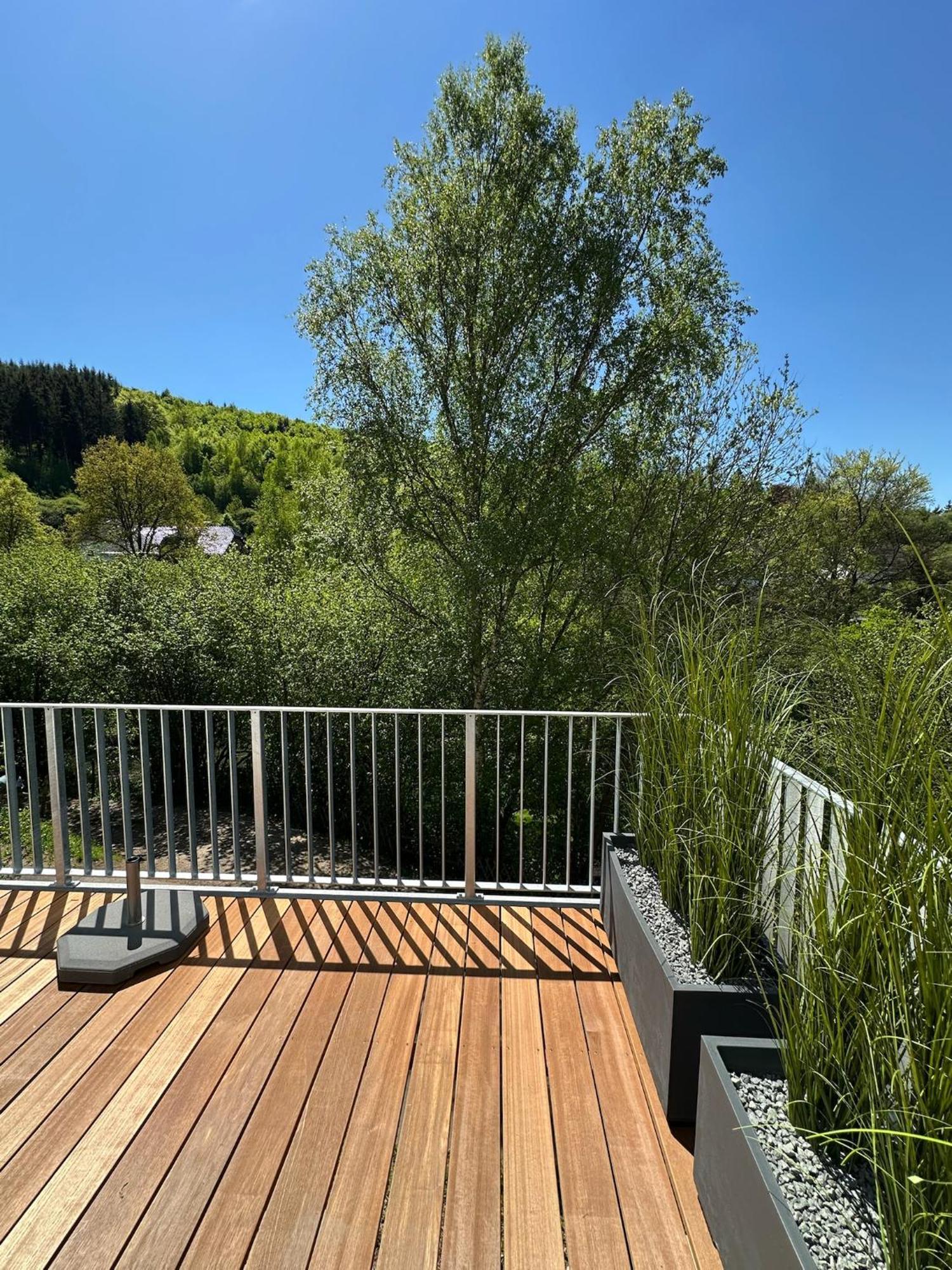 Villa Holgenbach - Penthouse- Und Ferienwohnung Im Nationalpark Eifel Schleiden Zewnętrze zdjęcie